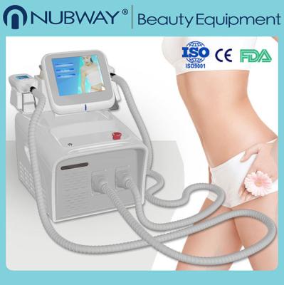 중국 피부 치료 온천장을 위한 휴대용 진공 기계를 체중을 줄이는 고성능 Cryolipolysis 판매용