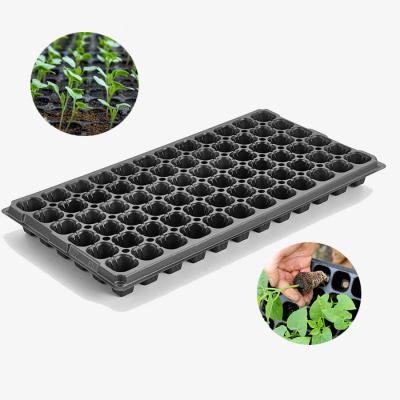 China Eco-friendly Seed Planting 32 50 72 98 105 128 168 200 Cell PS Germination Seed Tray For Greenhouse Vegetable Nursery for sale