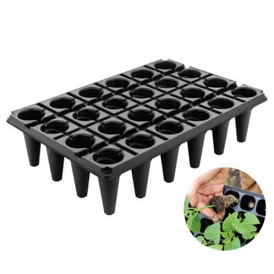 China For Nursery of Vegetables 24 Cells PS Garden Fruit Forest Deap Nursery Longer Strawberry Seed Tray for sale