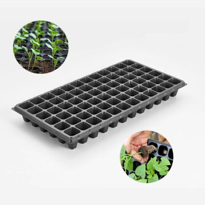 China For Nursery 72 Cell Forest Vegetable Wooden Tobacco Making Plastic Nursery Seeding Tray for sale