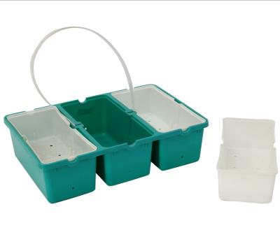 China For Nursery Hot Selling 3 Cell Vegetable Plastic Green Seed Starting Growing Germination Trays for sale