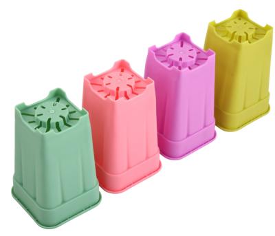 China Small Different Plant Plastic Tray Succulent Square Pots PP Color Flower Pots for sale