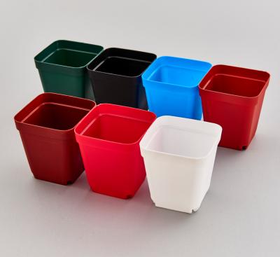 China 100 x 110 x 75mm Small PP Flower Pots Modern Plastic Colorful Square Succulent Plant Flower Pot for sale