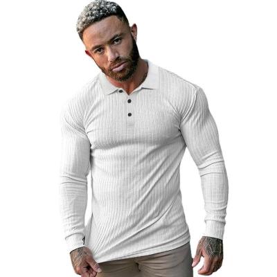 China Men's Fitness Men's Lapel Polo Long Sleeve T-shirt Breathable Fashion Knitted Stretch T-shirt Polo T-shirt Breathable Sports Autumn Polo Shirts for sale