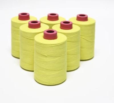 China High Tenacity Customized Garment Processing Sewing Yarn Aramid Fiber Yarn for sale