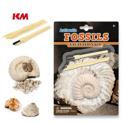 China Toy Fossils Excavation Children Educational Educational Learner Dig It Out Archeology Toy Kit Stem Kids Crafts for sale