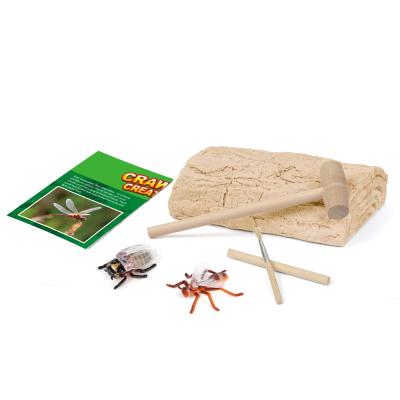 China Educational DIY Toy Set Educational Excavation Dig It Out Insect Animal Toys Set DIY Tiny Animal Stem Kit Study Toys for sale