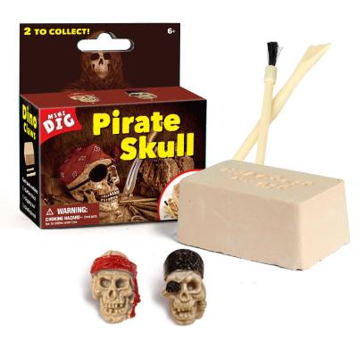 China 2021 Assorted 2 Dinosaurs Amazon Success Skeleton Pirate Treasure Skull Dig Excavation Stem Kit Educational Toys for sale