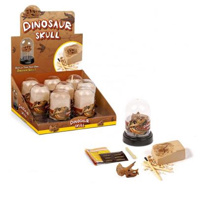 China Amazon Hot Selling Gypsum Clay+Dinosaur Skull Kids Toys 2019 Dino Skull Dig Kit With Display Box, Assorted 8 for sale