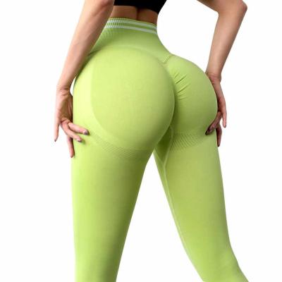 China Breathable Breathable High Waist Seamless Fitness Women Gym Running Active Gaiters for sale