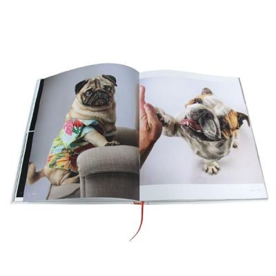 China Customized Parami Book Photo Printing Dog Species Picture Album for sale