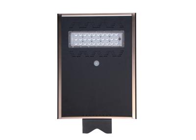 China 20 W Cool White All In One Solar Street Light LED Roadway Lighting Time Controlled for sale