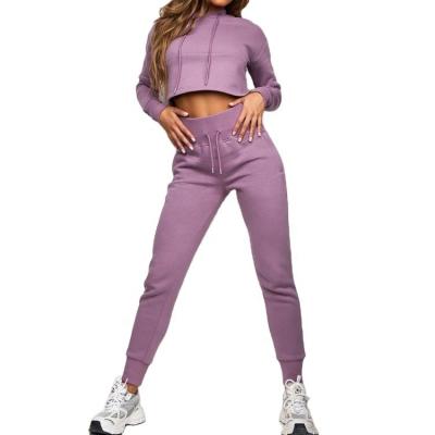 China New Arrival Breathable Gym Wear Stock Crop Top Fleece Lined High Waist Cotton Tracksuit for sale