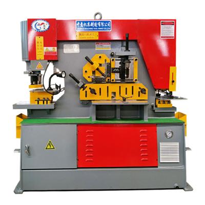 China Garment Shops Punching And Shearing Machine Hydraulic Iron Worker for sale