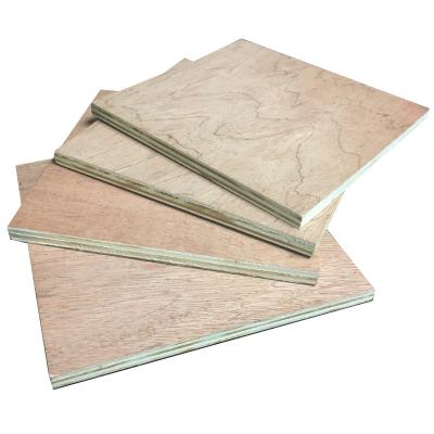 China Strong birch faced plywood 3-28mm UV coading poplar plywood / eucalyptus core plywood for furniture / construction for sale