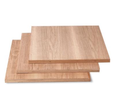 China Strong Hot Sale International Market Price Plywood Poplar Hardwood Combi Board Five-Layer Plywood for sale