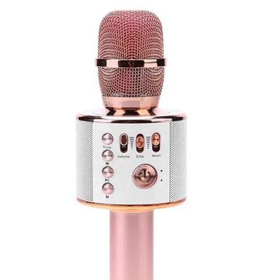 China Handheld Microphone FANSBE High-end Version Mic KTV Player Speaker Mobile Phone Portable Wireless BT Karaoke Micro for sale