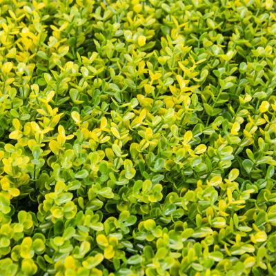 China Factory Wholesale Eco-friendly Decorative Green Artificial Wall Boxwood Hedge For Green Exterior Wall en venta