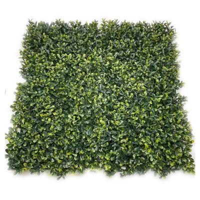 China Jiangsen Eco-friendly Artificial Artificial Grass Wall Panels Boxwood Plant for sale