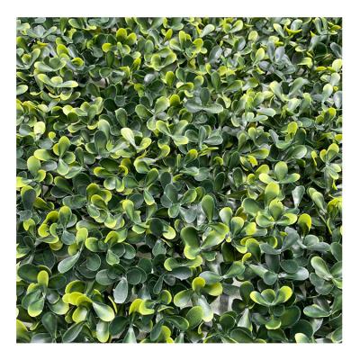 China Jiangsen Eco-friendly Garden Boxwood Wall Panels Artificial Artificial Hedge Plants for sale