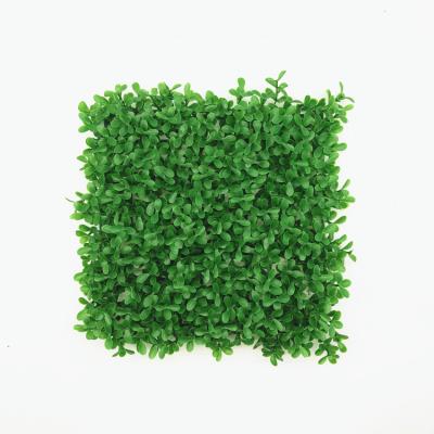 China Good Quality Eco-friendly Park Plant Artificial Wall Boxwood Hedge Mat for sale