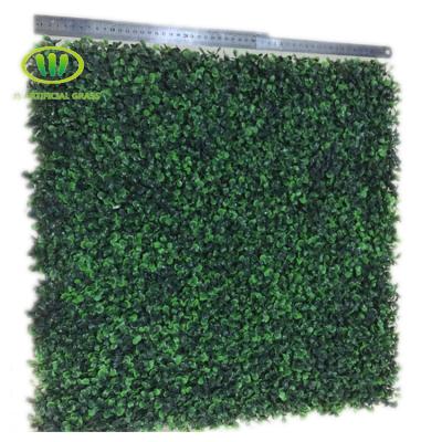 China Good Quality Eco - Friendly Plastic Artificial Boxwood Hedge Panels for sale