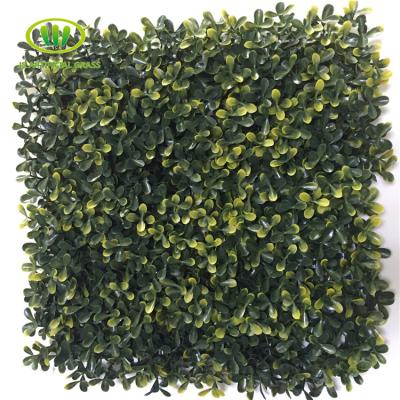 China Eco-friendly Artificial Boxwood Hedge Wall Plastic Rental Avenue for sale