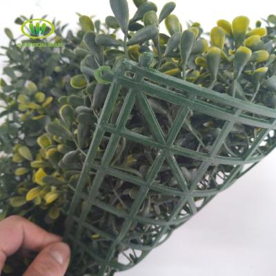 China Eco-friendly Wholesale Artificial Boxwood Panel Hedge For Garden Decoration for sale