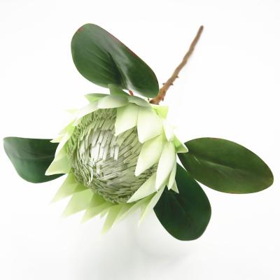 China eco-friendly artificial crynaroids protea flower silk stem for garden wedding flower protea for sale