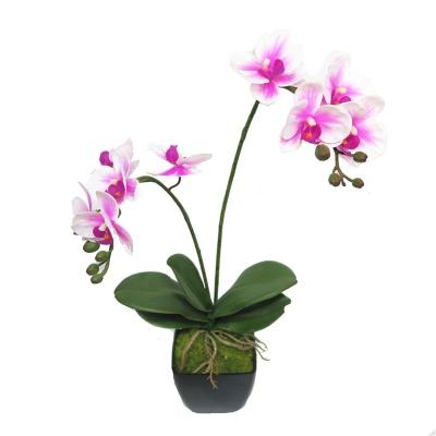 China Realistic Flower Orchid Real Touch Hot Selling Artificial Latex Flowers Orchids With Clip for sale