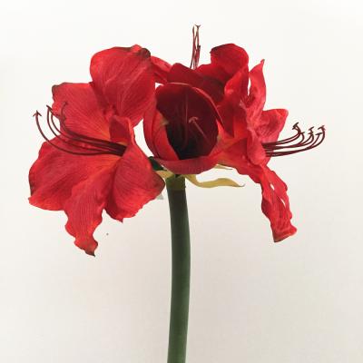 China Artificial Red Amaryllis Flower Bouquet Floral Arrangement for Wedding Flower Bouquet for sale