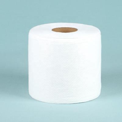 China spunlace nonwoven fabric roll price 100% viscose fabric for sale