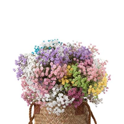 China Long Lasting Gypsophila Flower Dried Preserved Flower Baby's Breath Preserved Gypsophila Flower for sale