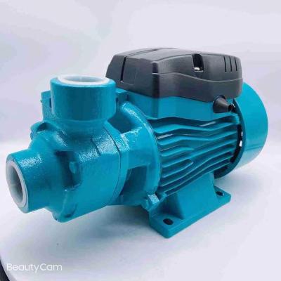 China Automotive Industry QB60High Eddy Current Pump 220 Temperature Resistant Peripheral QB60 Volt 0.5 Hp 0.75hp 1hp Rate Home Garden Electric Water for sale