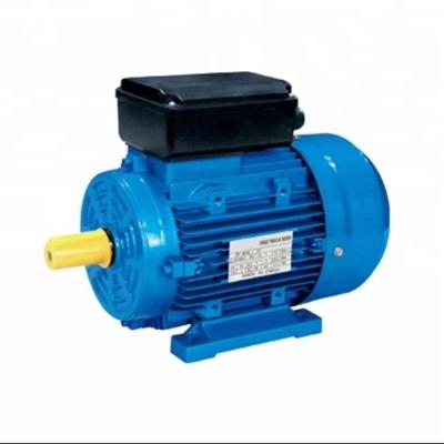 China IP44/IP54IP55 Ml7122/0.55kw0.75hp ML Series Small Induction Motor Single Phase Motor for sale