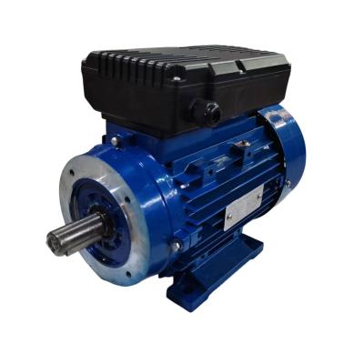 China Factory Price IP44/IP54 ML801-2/0.75KW1HP Single Phase Asynchronous ML Series Single Phase Motorcycle Motor for sale