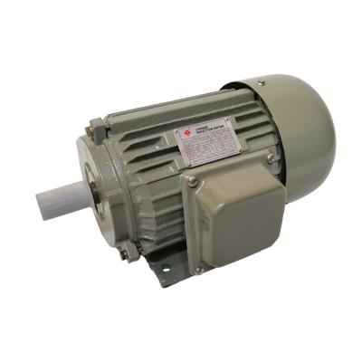 China IP44/IP54 Y series AC asynchronous motor three phase induction 60HZ three phase Y180M-2 22KW 30HP AC motor for sale