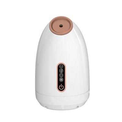 China Moisturizer Hot&Cold Face Steamer Custom Beauty Equipment Spa Nano Mist Spray Facial Steamer for sale