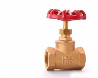 China Horizontal Style Bronze Swing Check Valve , Manual  Bronze Gate Valve for sale