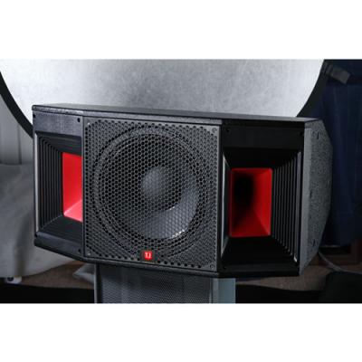 China W-10 Stage PA Speaker for sale