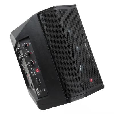 China No TWS PA system/home theater/speaker/wholesale line array for sale