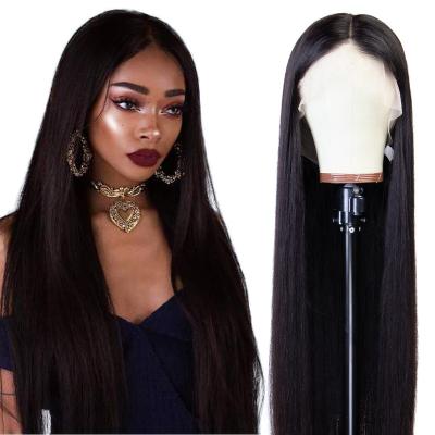 China Fashionable Design Straight 24 Inches Long Sheer Braided Lace Front Virgin Human Hair Straight Hair Wig for sale