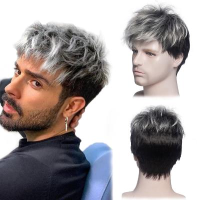 China Daily Lifelike Realistic Natural Wigs Afro Wear Gray Synthetic Men Short Straight Silver Gray Wig for sale