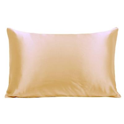 China Mulberry 100% silk waterproof momme 100% real mulberry silk pillowcase 22 silk mulberry for sale