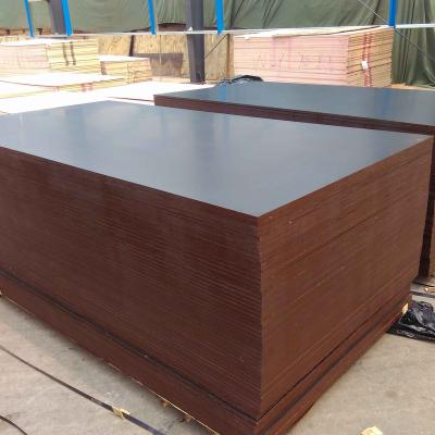 China Traditional film faced plywood formwork shuttering plywood formply for sale