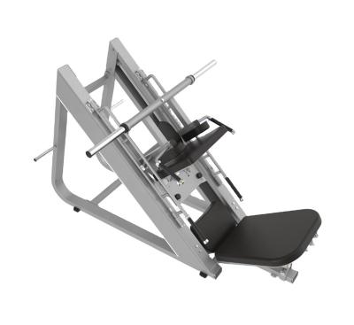 China Universal Gym Equipment Factory Commercial Strength Machine Double Leg Press And Notch Functional Squat Posture for sale