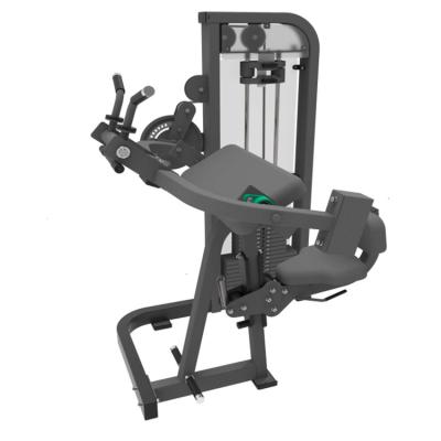 China Biceps and Triceps 2-Mode Fitness Equipment Warehouse Commercial Hot Sale Commercial Use Fitness Equipment for sale