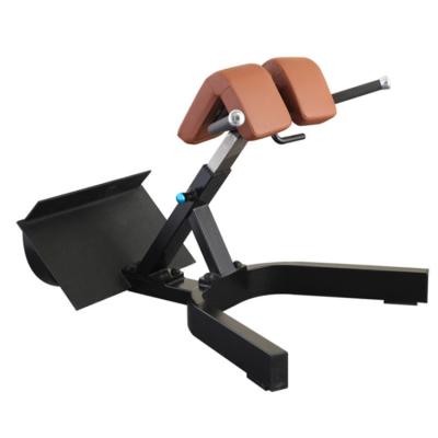 China Precor Commercial High Quality Back Extension Equipment Fitness Customs Use Bench Gym Equipment Online for sale