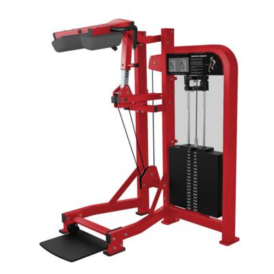 China Commercial use hot sale fitness equipment exercise position calf machine gym sports for sale