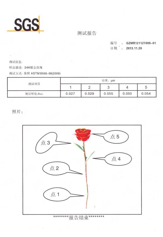 Test Report - Cangnan Worth Arts And Crafts Co., Ltd.